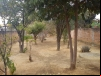 dsc00038